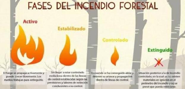 Las Cuatro Fases De Un Incendio Forestal Las Provincias Hot Sex Picture